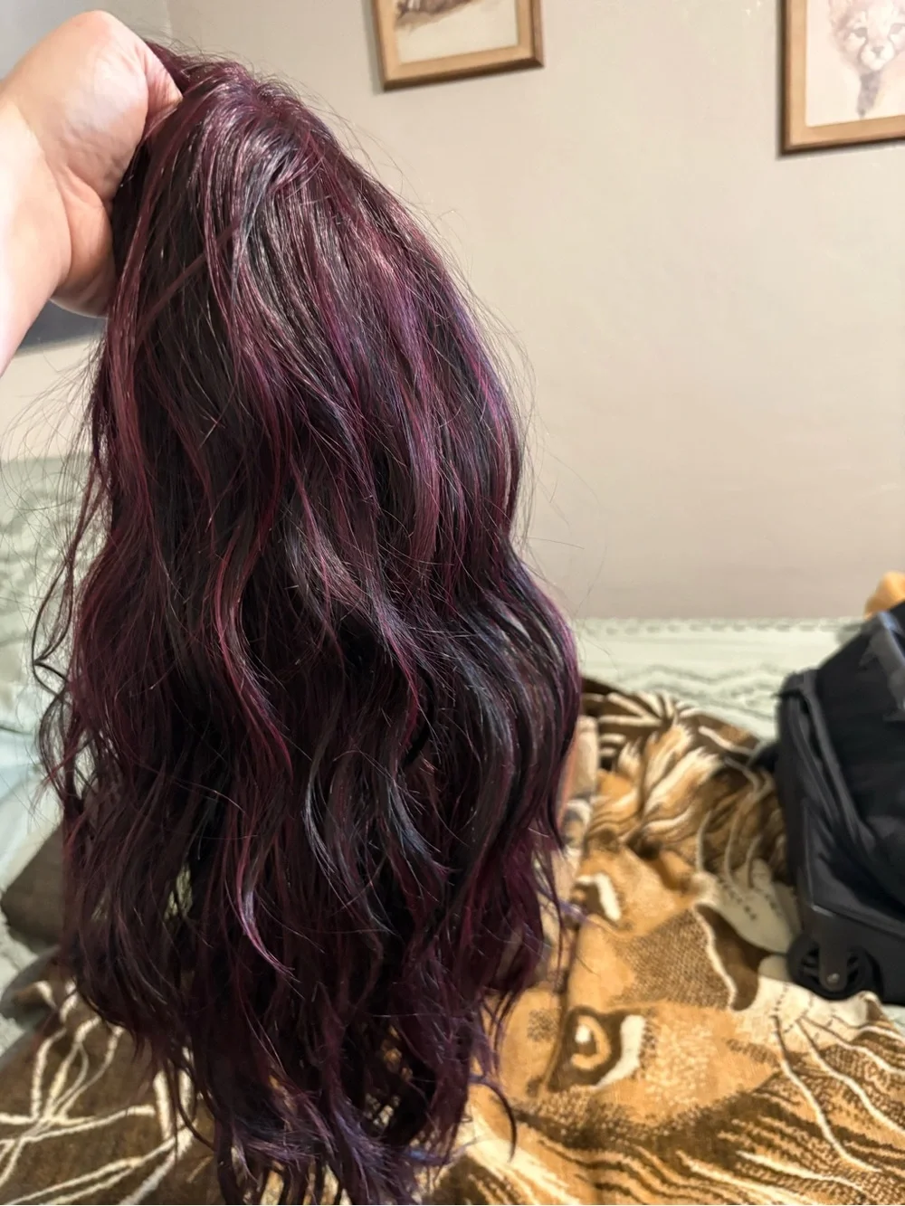 Soma Long Layered Wig with Burgundy Highlights